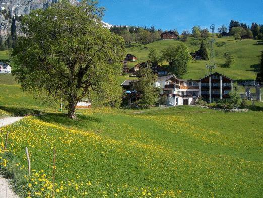 Hotel Restaurant Cristal Braunwald Dış mekan fotoğraf